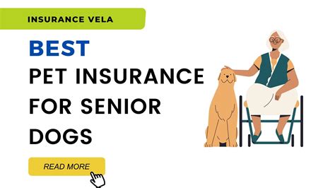 best senior dog pet insurance.